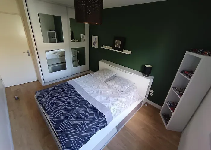 Bel Appartement Toulousain