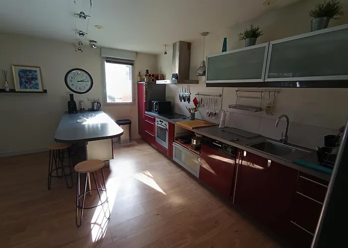 Bel Appartement Toulousain